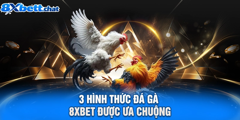 3 hình thức đá gà 8XBET được ưa chuộng