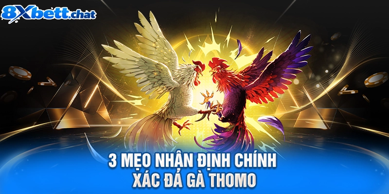3 mẹo nhận định chính xác đá gà Thomo