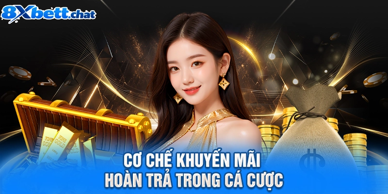 Cơ chế khuyến mãi hoàn trả trong cá cược